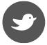 Twitter St John WA